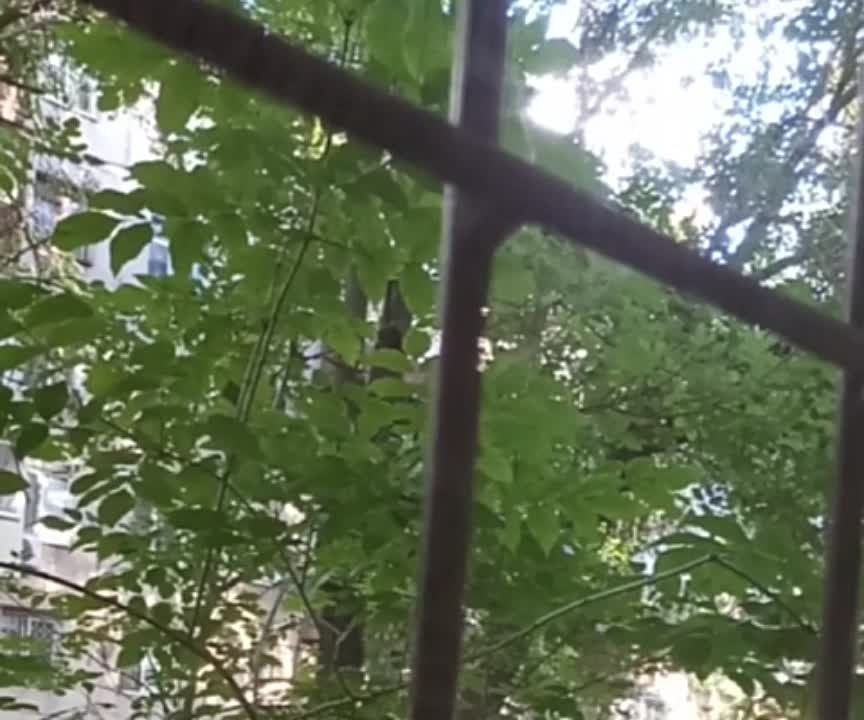 ������ � ���������