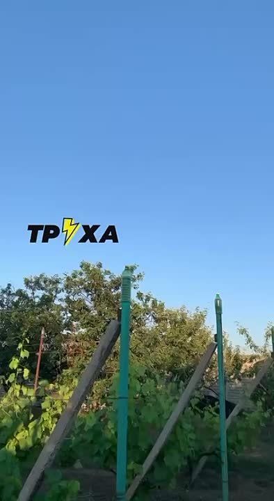 ������ �� ���� � ���� � ���������