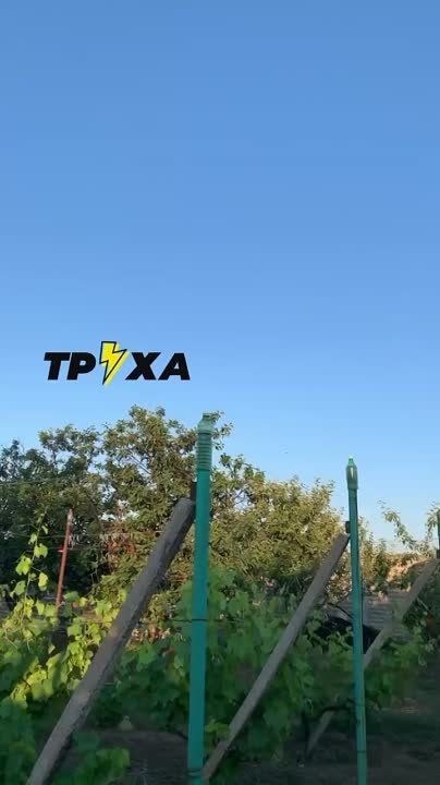 �������� ������ ����� � ���� � ���������