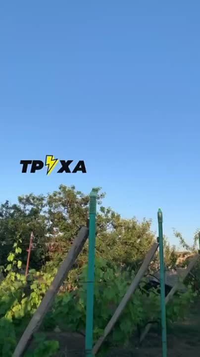 ���������� ������ "������" ��� ������������ ��������