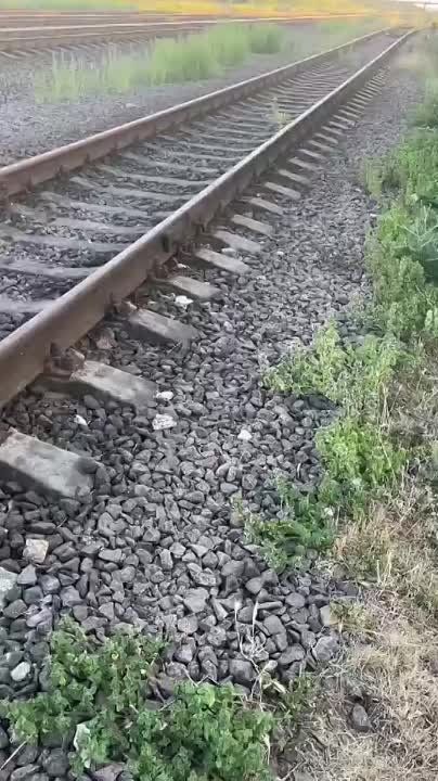 ����� "��������" � ����� ����� � ��������� �������� �������