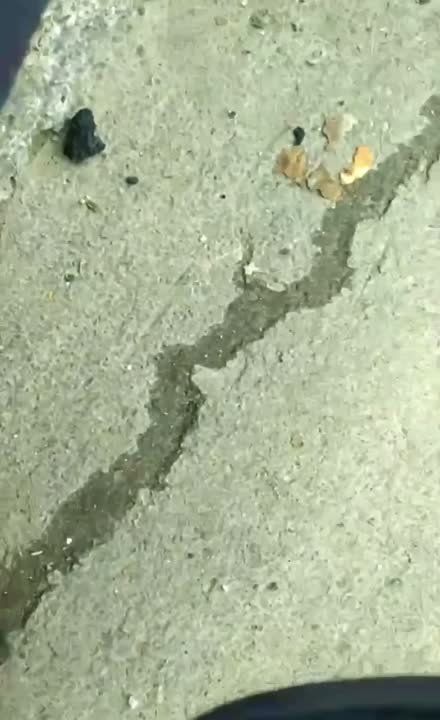 ���������� �������� ���� �� ��������� ������� � ���������