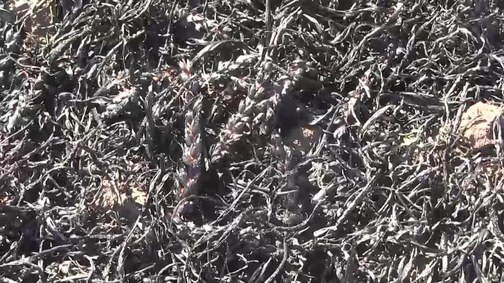 "������� ����� �������� �� ��������� �� ������������ ����������� ���������� �������, ��������� �� ������