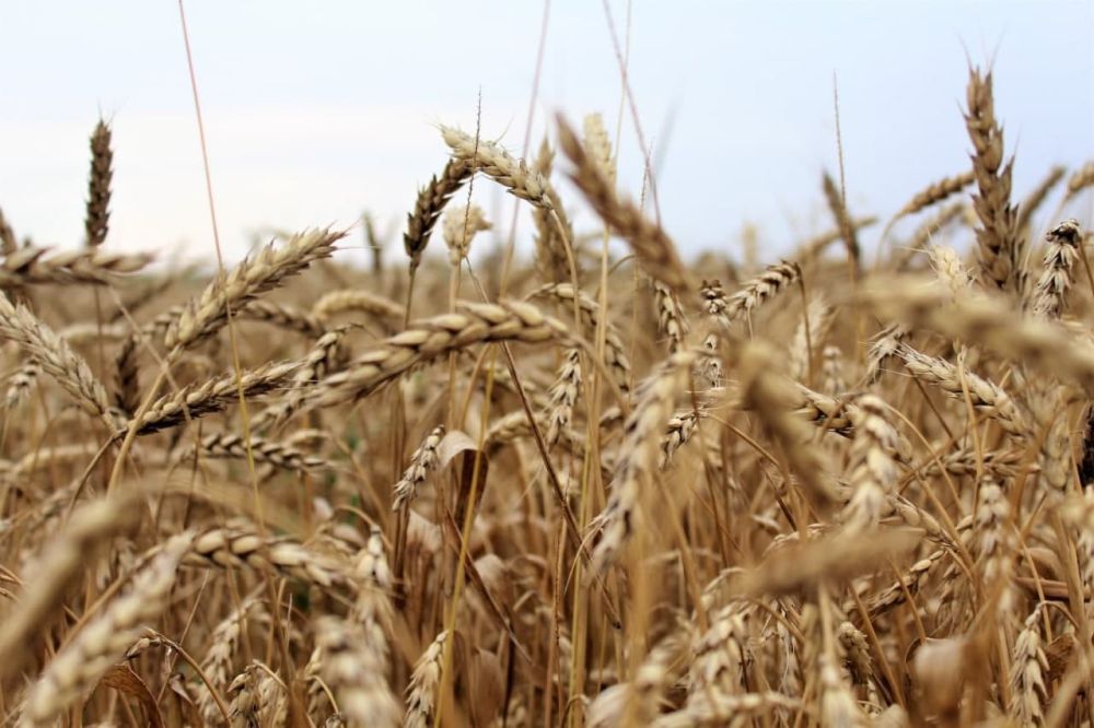 ���������� ������� ����������� �� 200 ��� ���� ����� ��-�� �������� � ����������� ����� ��������