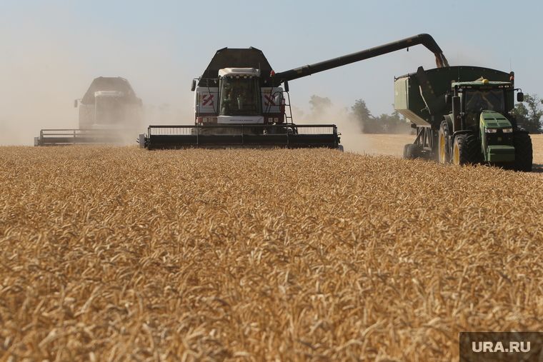 ��: ������� ��� ��������� ���� � ������ ����������� � �����������