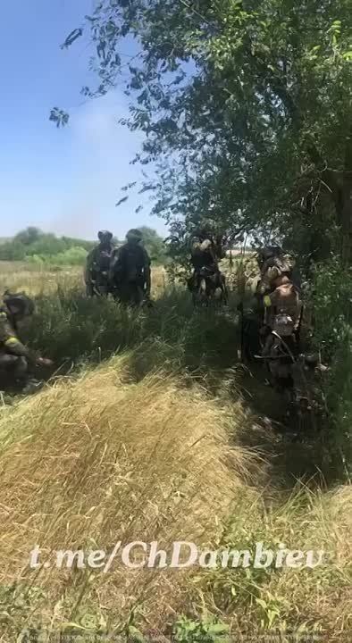 ���������� ������������� ���� ���� ������� �� �����������-������������ �����������