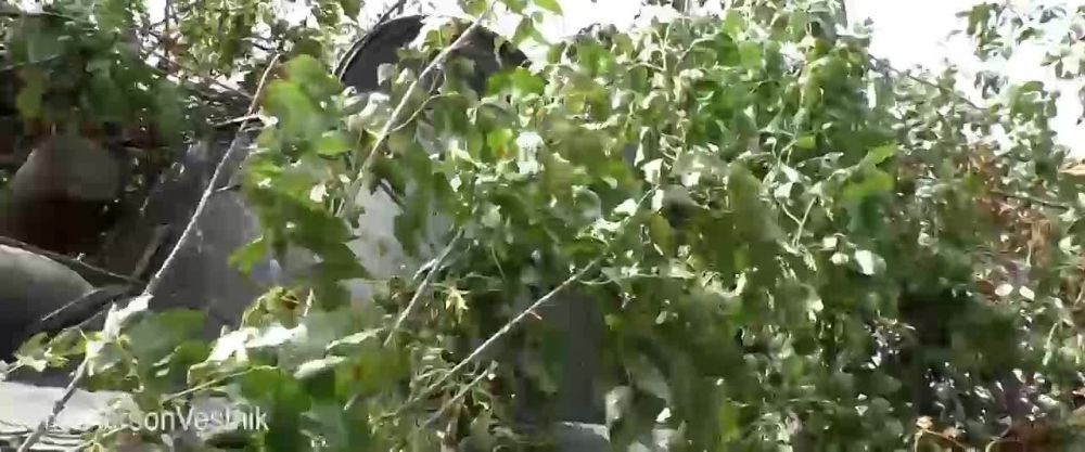 ���������� ���������� ������� ������� ������� ��� �� �����������-������������ �����������