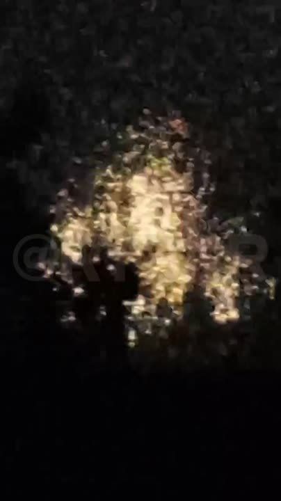 � ������ �� �����-����������� ���������� ��� ���������� �������������� �������� ������� �� �� � ����������� (������� �������)