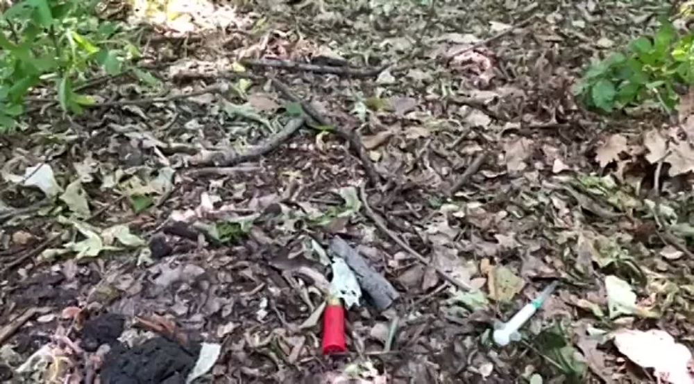 �������� � ��������� ������� ��� �� ���������-������������ �����������