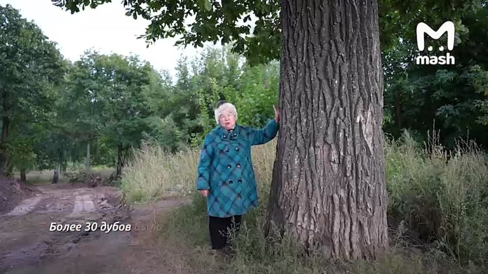 ��������, ������� ����� ������� ��� ����� ���������� Genesis � ���������, �������� ����� �� ��������� ��������� ��. ��� ����� ��� ��� �������� ������ 100-������ ����