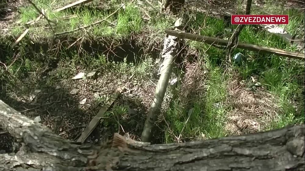 ����������� � ������������ ������� ��� �� ���������-������������ �����������