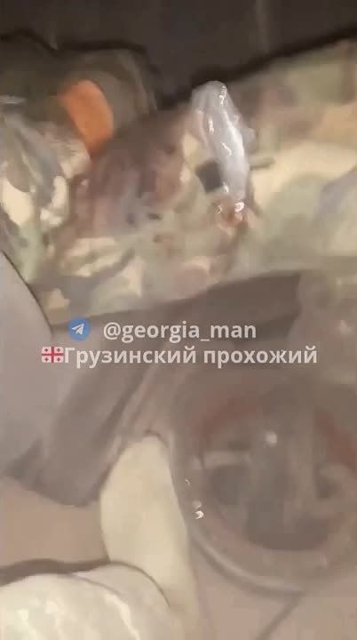 ��������� ����������, ��� ����� ���������� �������� ����� �������, �� � ������ ���������� �� ��� ���������