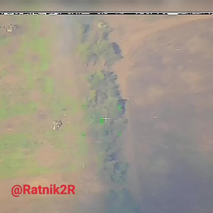 ����������� ���������� ������������ �� ��������� - ������������ �����������