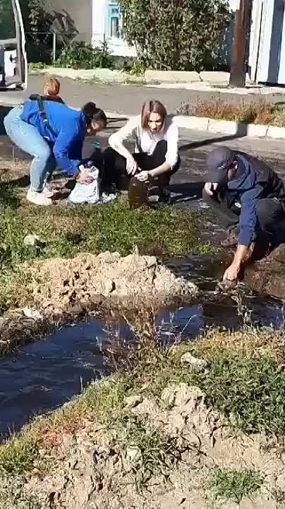 ����� � ��������� ��������� �������� � �������� ���� ������������� �����: ��� ���������� ������ ���� ������ ���� �� ������