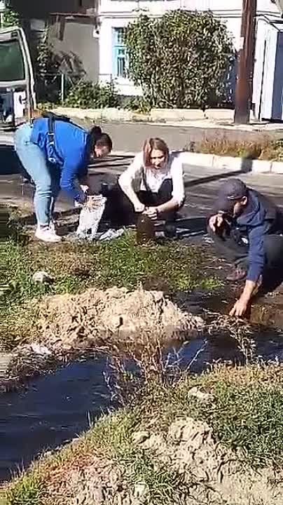 �������� - ��� ����� ��� �� ������ ����� ���� � ������ � ����� ������� ����� ���� �� �����