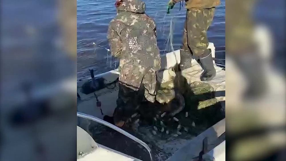 � ����������� ���� ������ ����� � ��������� ���� ���� ���������� ���� ������ �� ��������� ������ ���������� ������, ������� �� ����� �������� ����� ����� ���� ����������� ������� ���� � 90-�������� ������� �����