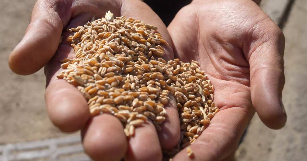 ����� �������� �� ��������� ������ � ����������� ��� � ������ �� �����