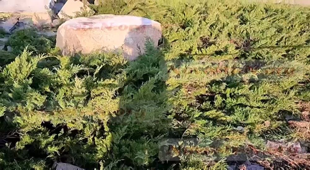 ������� �������-����� ��� ������� ������������ � ���������, �������� ��������� �� ���������, ������� �������� ��� �������