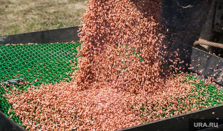 Reuters: ���� ���������, ��� �������� ������ ������� �� ���