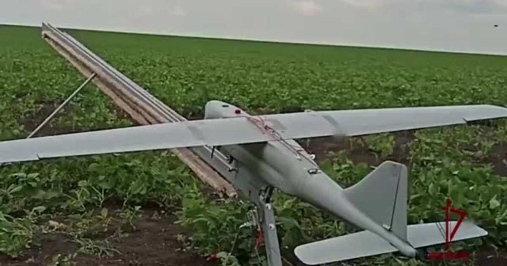 ������������ ���������� ������ ����������� �� ������������ �����������