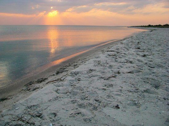 �� ������� ���������� � ������ �������� �� ����������� ����