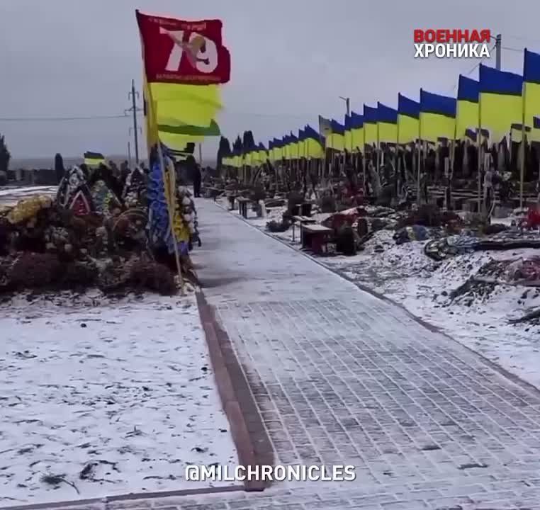 ��� � �������� �������� ��������� �� ������� ��������: �����������