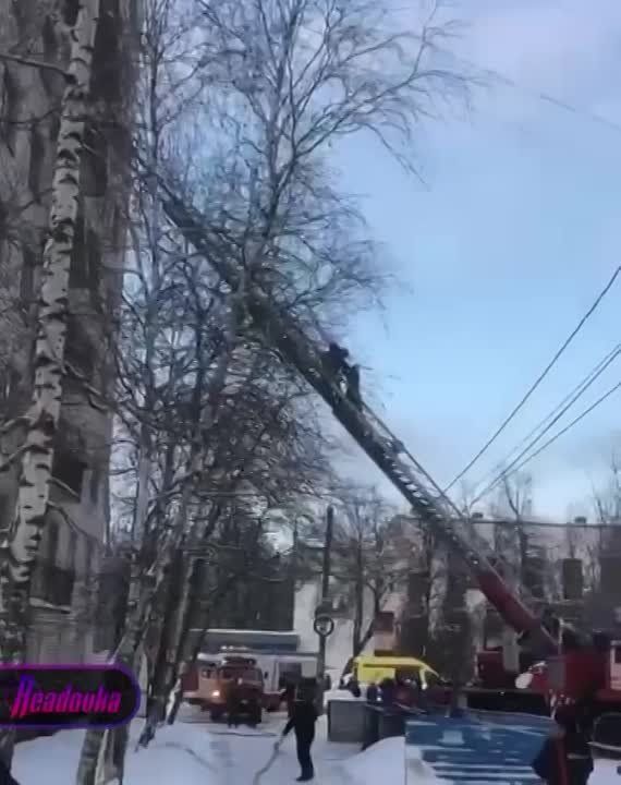 � ���������� ���������� ��������� � 15 �������, � ��� ����� ������ ����� ����������