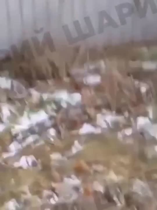 Кадры, предположительно, взрыва склада с боеприпасами в Очакове Николаевской области