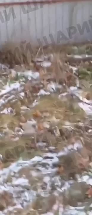 Момент сегодняшнего взрыва в Очакове Николаевской области