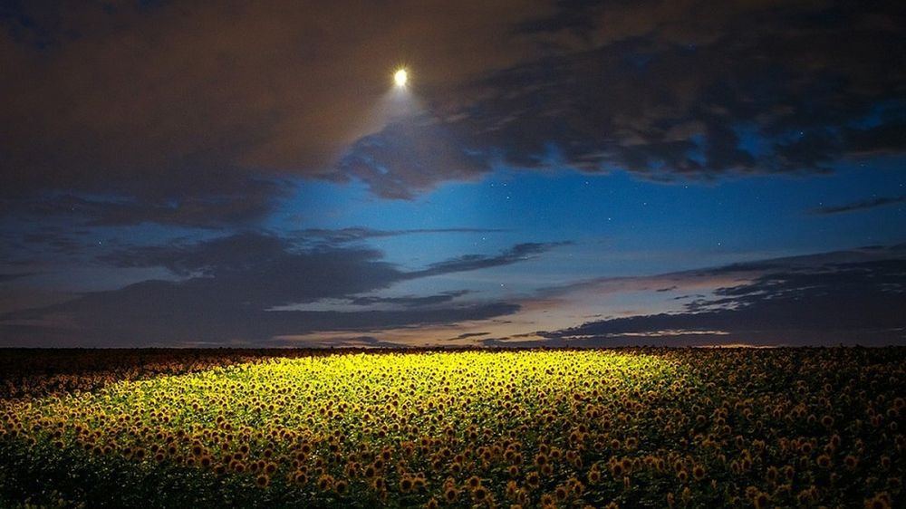 �� ��� ������� �������� ������������ ����������� �������