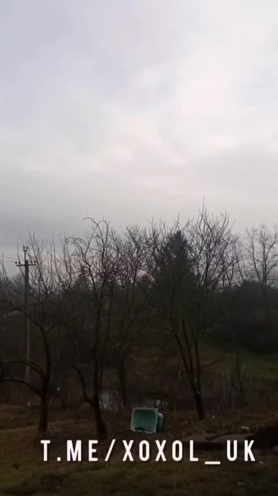 ��� ���� ���������. ���������� ��������� �������� � ������ ��� � �������� ������� � � ������� � ����������������, ������������ � �������� ��������
