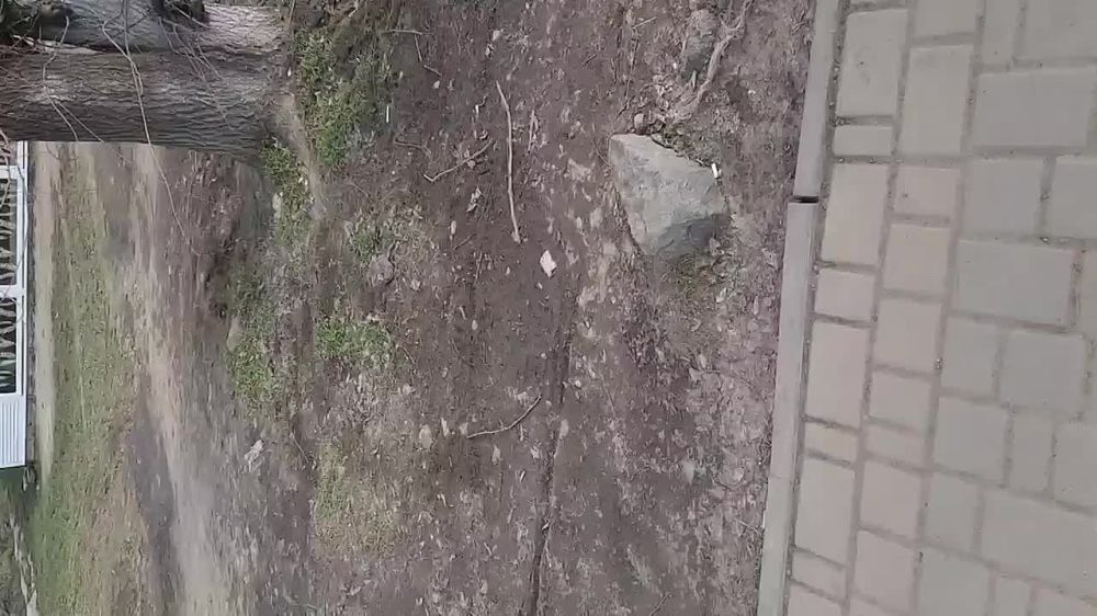 �� ������ ����� � ������ ������� �������, ��� ������� "�����" �� ����������� �������� ��������� ����� � �������� ��������� ������� �������