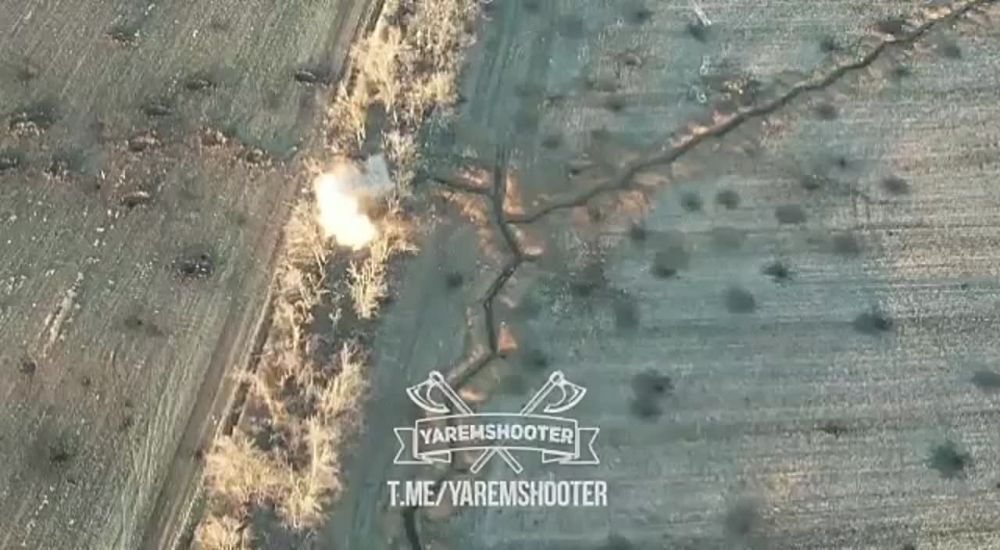 ���������� ��� "������" ���������� ������ ������ ������������� � ������� ������, ������� �� ���� ����� �� �������� ����