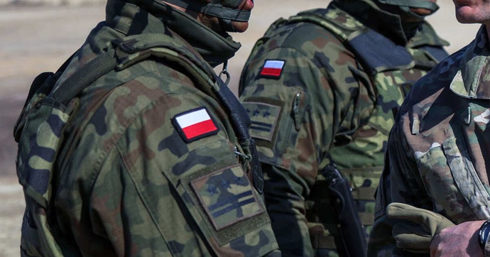 СМИ: польские наемники изнасиловали девочку в Николаевской области