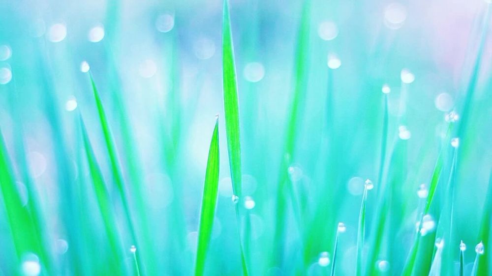 ������������� �� �����. ��� � �� ���� ���������..