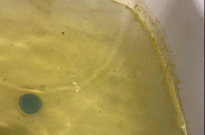 ������ ���� � ����� ����� ���������� �����? ������� ���������� �������������: "�����������������" ��������, ��� ����� ��������� � 160 ���