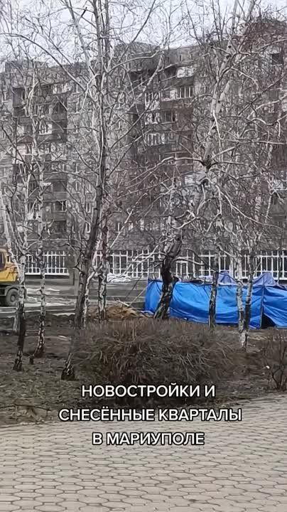 ����� �� ������� �������� �����, ������ ��� ����������� ����������� ���������� �� ����� ������ ������ ��� �����