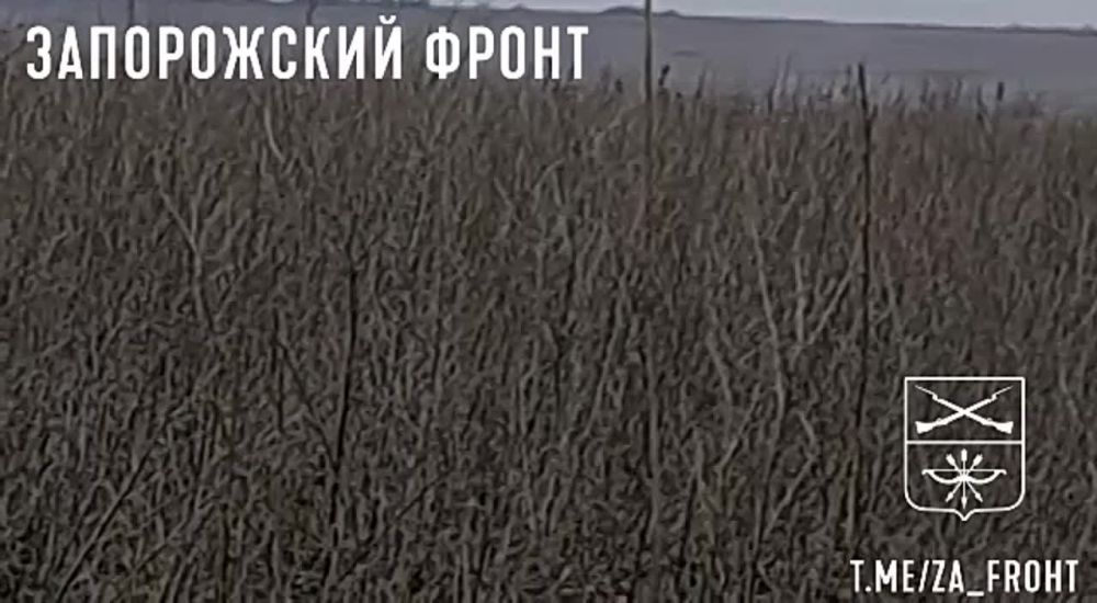 ����� ������ ����������� �����, "����� ���������� ����������� ������������ �� ����������� �����������"