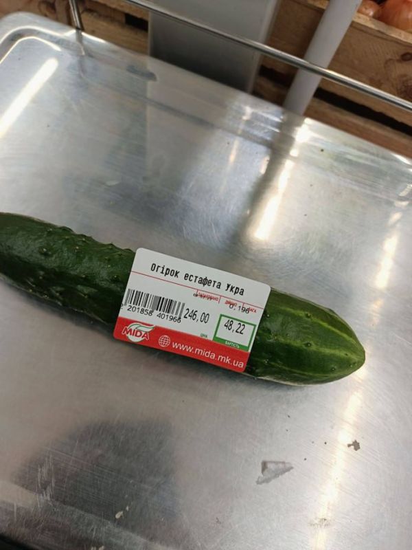 ������ �� 48 ������ � ���������