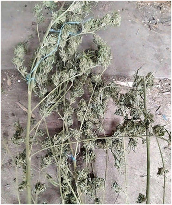 ������������ ���������� ������� ������������ ������� ���������� ������� �������� ���������� � ���, ��� ������ ����������� ��������� ������ �������������