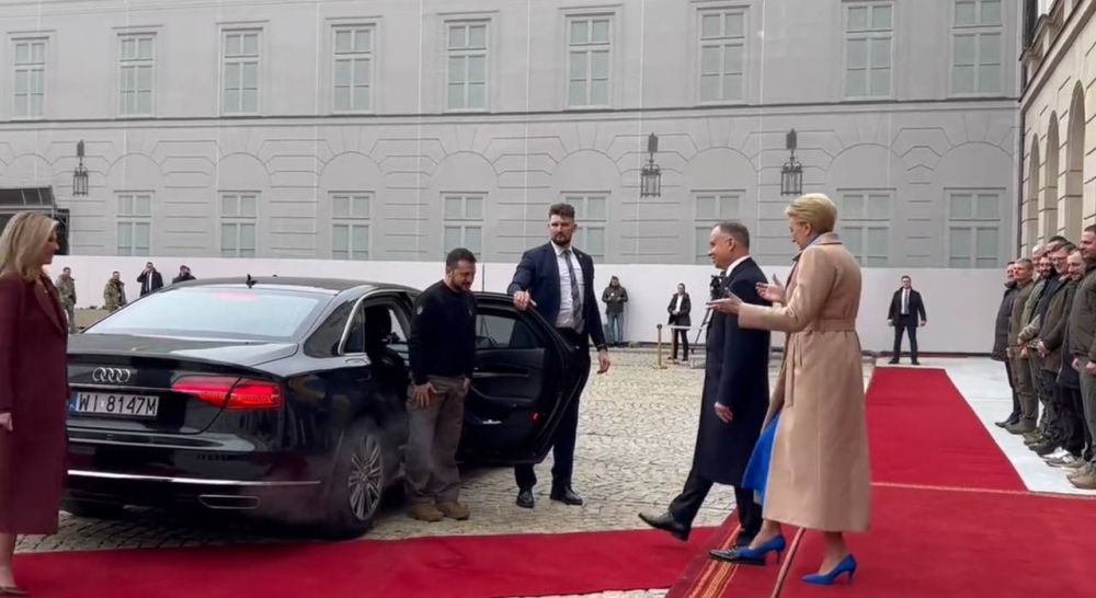 ������ �������� ����������� ���� ����������������� �������