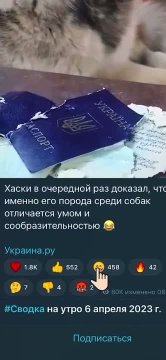 ������� ��� ������� ����� ��� ���� �� ����