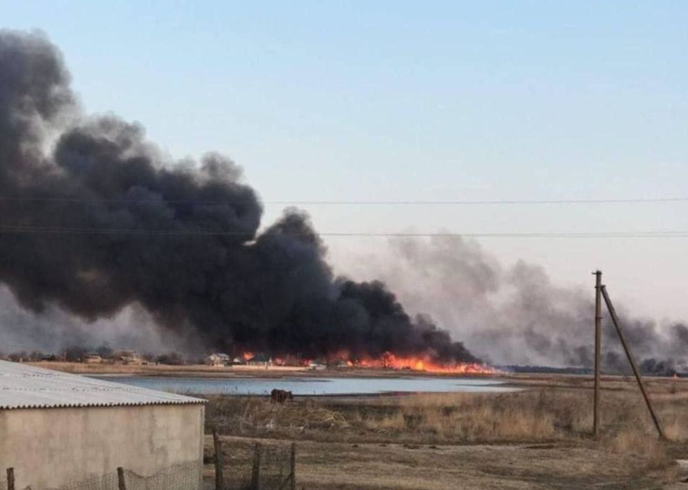 ������� ������� �������, ��� �� ����������� ���� ������� �� 8 ����� �������� ����