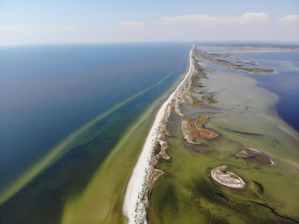 Десятки не вернутся домой: русские оказались не по зубам Киеву