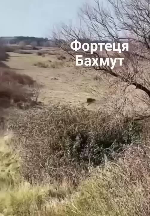 �������� ����� ���������� ������ - ������������������!
