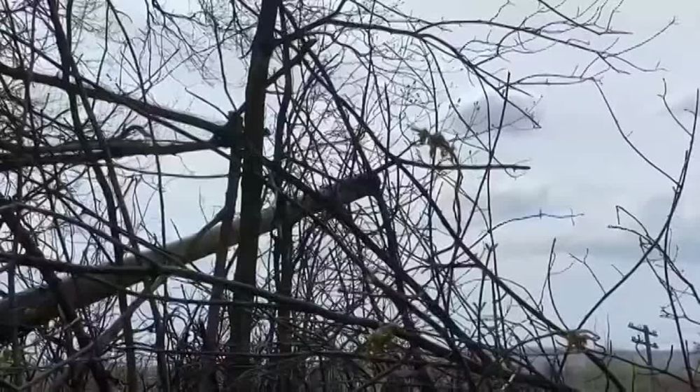 ��������� ���� ��� ��������� ����������� ���������� ���������� ������������ ������� ������� ��������� ���� �������� �������� "��������" � ����������� �������� �����������