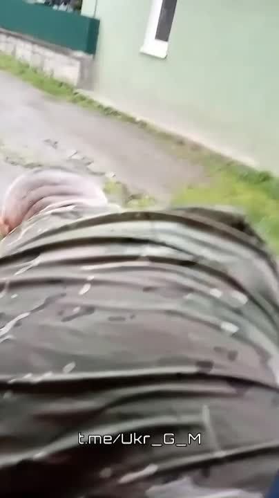 ������������ �����������" �� ������� ������������
