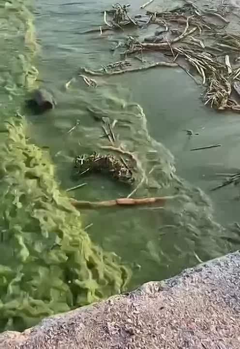 � ��������, ���������� � ������������ �������� �� ������������� ������������� ������ �� ������� ���� 30% ���� ���� ���������� �� ������������� �������� � ����� ������