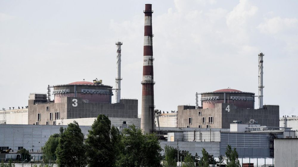 ��������� ���� ��������, ������ �� ����. ����� 29 ���� �� �������