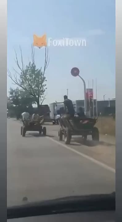 ������ � ������� ������ ��������� "���� ��������������" � �������� �� �����